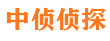 四川私人调查